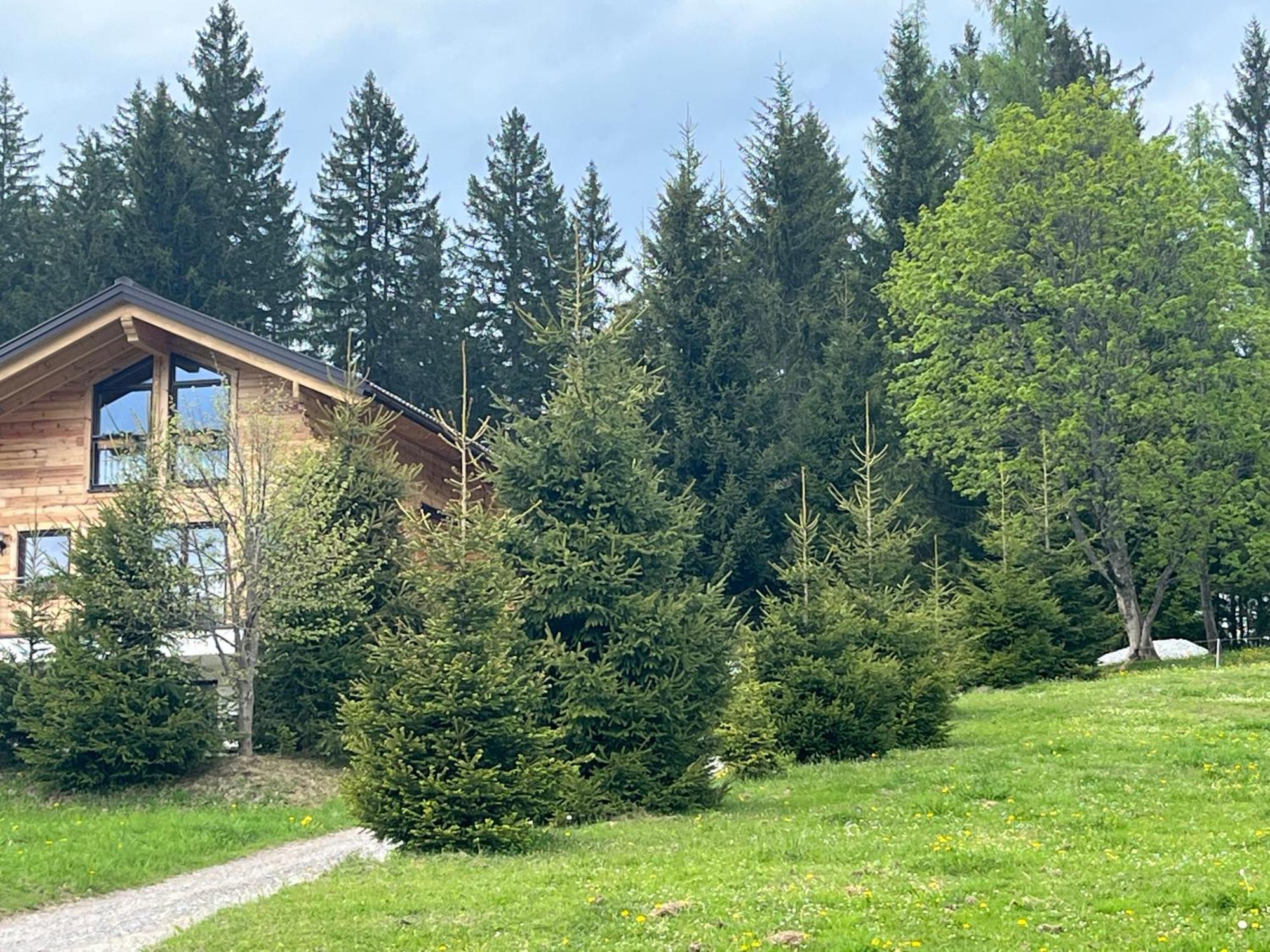 Chalet Bergheimat Wagrain Exterior foto